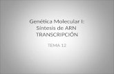 Genética Molecular I: Síntesis de ARN TRANSCRIPCIÓN TEMA 12.