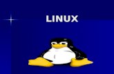 LINUX. Evolución Histórica Reseña historia- continuación En 1983, Richard Stallman concibe la Free Software Foundation (Fundación software libre, FSF)