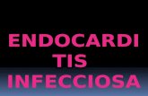 ENDOCARDITIS INFECCIOSA Concepto. Infección microbiana, generalmente bacteriana del endocardio valvular pero puede haber afectación al endocardio mural,