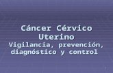 1 Cáncer Cérvico Uterino Vigilancia, prevención, diagnóstico y control.