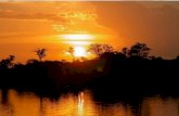 Visita al Parque Nacional Natural Amacayacu  Recorrido por el Río Amazonas hasta llegar al PNN Amacayacu.  Ingreso y charla ambiental.  Actividad.