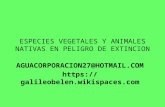ESPECIES VEGETALES Y ANIMALES NATIVAS EN PELIGRO DE EXTINCION AGUACORPORACION27@HOTMAIL.COM .