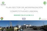 PLAN RECTOR DE MODERNIZACIÓN Y COMPETITIVIDAD LABORAL INGENIO TALA S.A DE C.V.