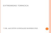 EXTREMIDAD TORACICA DR. AGUSTIN GONZALEZ RODRIGUEZ.