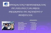 COMPENSACION Y REMUNERACION DE SUELDOS Y SALARIOS, PROGRAMAS DE INCENTIVO Y BENEFICIOS. INTEGRANTES: Irma Córdoba v-14.645.327 Yeisberlin Manzanilla v-18.042.733.