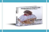 Principio basicos PeluquerÍa canina.pdf