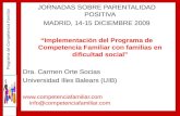 Programa de Competencia Familiar JORNADAS SOBRE PARENTALIDAD POSITIVA MADRID, 14-15 DICIEMBRE 2009 Implementación del Programa de Competencia Familiar.