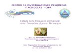 CENTRO DE INVESTIGACIONES PESQUERAS Y ACUICOLAS - CIPA Por: Lic. Renaldi Barnutty Navarro Departamento de Investigaciones Pesqueras CIPA - INPESCA Taller.