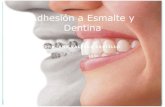 Adhesión a Esmalte y Dentina.pdf