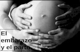 El embarazo y el parto.. El inicio del embarazo. Para que se produzca la fecundación se necesita la unión entre un espermatozoide procedente del hombre.