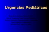 Urgencias Pediátricas Ricardo L. Sánchez, M.D., M.P.H. Jefe de Urgencias, Saint Francis Hospital Profesor Asistente, Traumatología y Urgencias Universidad.