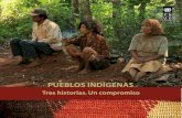 Publicacion Pueblos Indigenas
