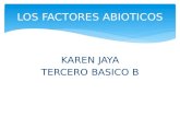 Factores Abioticos Karen Jaya