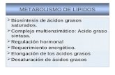METABOLISMO DE LIPIDOS Biosíntesis de ácidos grasos saturados. Complejo multienzimático: Acido graso sintasa. Regulación hormonal Requerimiento energético.