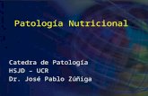 Patología Nutricional Catedra de Patología HSJD – UCR Dr. José Pablo Zúñiga.