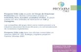 Proquem Chile Ltda Especialidades Quimicas Oficina: Avda. Vitacura 3658 Of 205 T (56-2) 378 1257 Bodega: Patricia Viñuela 485 C T (56-2) 367 1128 Proquem.