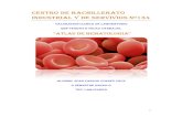 Atlas de Hematologia+++2