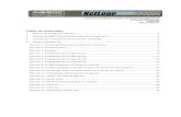 Manual Netlogo Basico_INSISOC