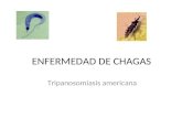ENFERMEDAD DE CHAGAS Tripanosomiasis americana. Definición Es una zoonosis protozoaria causada por el hemoflagelado Trypanosoma cruzi y transmitida a.