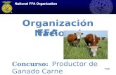 Organización Nacional FFA Concurso: Productor de Ganado Carne mgs.