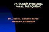 PATOLOGÍA TABAQUISMO PATOLOGÍA PRODUCIDA POR EL TABAQUISMO Dr. Jose D. Calvillo Barco Medico Certificado.