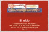 El oído Fundamentos de Anatomía DR. CARLOS A. ESTRADA TRISTÁN Curso de Otorrinolarongología 2012.