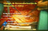 Cirugía de Revascularización de Miocardio (CABG) Evolución en tres décadas.Evolución en tres décadas. CABG con CEC es el Gold Estándar CABG con CEC es.