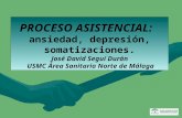 PROCESO ASISTENCIAL: ansiedad, depresión, somatizaciones. José David Seguí Durán USMC Área Sanitaria Norte de Málaga.