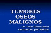 TUMORES OSEOS MALIGNOS Dr. Pedro Gómez Benet Sanatorio Dr. Julio Méndez.