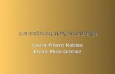 LA EVOLUCIÓN HUMANA Laura Piñero Robles Elvira Mula Gómez.