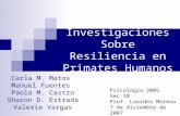 Investigaciones Sobre Resiliencia en Primates Humanos Carla M. Matos Manuel Fuentes Paola M. Castro Sharon D. Estrada Valerie Vargas Psicología 3005 Sec.10.