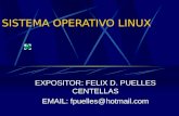 SISTEMA OPERATIVO LINUX EXPOSITOR: FELIX D. PUELLES CENTELLAS EMAIL: fpuelles@hotmail.com.