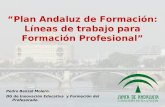 Pedro Benzal Molero. DG de Innovación Educativa y Formación del Profesorado. Plan Andaluz de Formación: Líneas de trabajo para Formación Profesional.