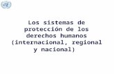 Los sistemas de protección de los derechos humanos (internacional, regional y nacional)