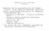 Energía en el ecosistema Créditos Autoría de la presentación en Power Point: Juan Ignacio Noriega Iglesias Texto (con modificaciones) e imágenes procedentes.