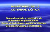 MONITOREO DE LA ACTIVIDAD LÚPICA Grupo de estudio y prevención de enfermedades glomerulares. Centro de Nefrología. Hospital de Clínicas. Sociedad Uruguaya.