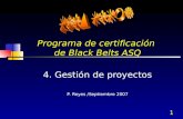 1 Programa de certificación de Black Belts ASQ 4. Gestión de proyectos P. Reyes /Septiembre 2007.