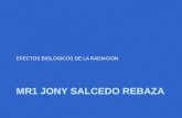 MR1 JONY SALCEDO REBAZA EFECTOS BIOLOGICOS DE LA RADIACION.