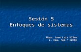Sesión 5 Enfoques de sistemas Mtro. José Luis Ulloa L. Com. Pub./ CUCSH.