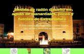 Medida de radón disuelto en aguas de manantiales, pozos y fuentes de Extremadura M. Galán López, A. Martín Sánchez y V. Gómez Escobar Dpto. de Física,