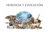 HERENCIA Y EVOLUCIÓN. ESPECIACIÓN EVIDENCIAS DEL PROCESO EVOLUTIVO TEORÍAS DEL ORIGEN DE LAS ESPECIES DE LA VIDA.