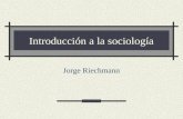 Introducción a la sociología Jorge Riechmann. 15/11/2013introducción a la sociología2 ¿Todos somos sociólogos? Puesto que somos animales radicalmente.
