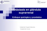 Metástasis en glándula suprarrenal Enfoque quirúrgico y pronóstico Unidad de Cirugía Endocrina Hospital de Cruces.