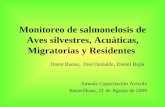 Monitoreo de salmonelosis de Aves silvestres, Acuáticas, Migratorias y Residentes Jornada Capacitación Avícola Basavilbaso, 21 de Agosto de 2009 Dante.