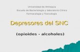 Depresores del SNC (opioides - alcoholes) Universidad de Antioquia Escuela de Bacteriología y laboratorio Clínico Farmacología y Toxicología.