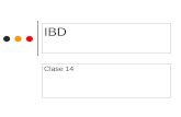 IBD Clase 14. UNLP - Facultad de InformáticaIBD - CLASE 14 2 Lenguajes de consulta Lenguajes de consulta: utilizados para operar con la BD. Procedurales: