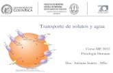 Transporte de solutos y agua Curso ME 2012 Fisiología Humana Dra. Adriana Suárez, MSc.
