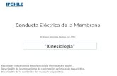 Conduct Conducta Eléctrica de la Membrana Professor: Verónica Pantoja. Lic. MSP. Kinesiologia Reconocer mecanismos de potencial de membrana y acción. Descripción.