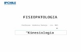 FISIOPATOLOGIA Professor: Verónica Pantoja. Lic. MSP. Kinesiologia.
