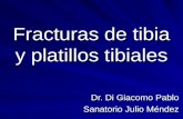 Fracturas de tibia y platillos tibiales Dr. Di Giacomo Pablo Sanatorio Julio Méndez.